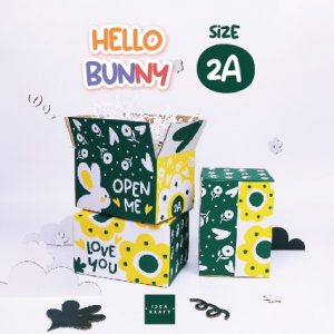 สินค้ากล่อง Hello Bunny size 2A