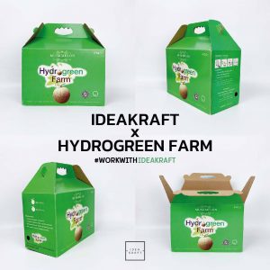 สินค้ากล่องออฟเซ็ท - 13