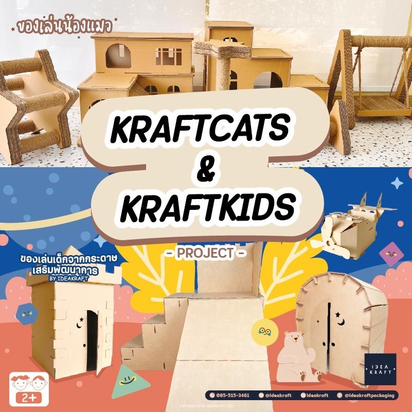 กล่องของเล่นน้องแมว