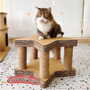 ของเล่นน้องแมว - 05